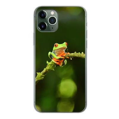 Produktbild von MuchoWow® Handyhülle Schutzhülle Hülle für iPhone 11 Pro Frosch - Äste - Grün Silikon Softcase Handy Hülle - Handy