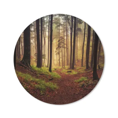 Produktbild von MuchoWow® Mauspad Mousepad Bäume - Natur - Wald 20x20 cm - Mousepads - Maus Mat - Pad - Mausunterlage - Schreibtischmatte