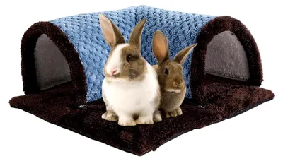 Produktbild von Niströhrenbett für Kleintiere, Meerschweinchenbett, Käfigzubehör, Spieltunnel für Frettchen und Chinchillas, Tunnel-Versteck für Igel