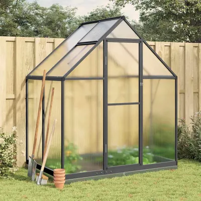 Image de vidaXL Serre avec cadre de fondation anthracite 169x114x202 cm Alu