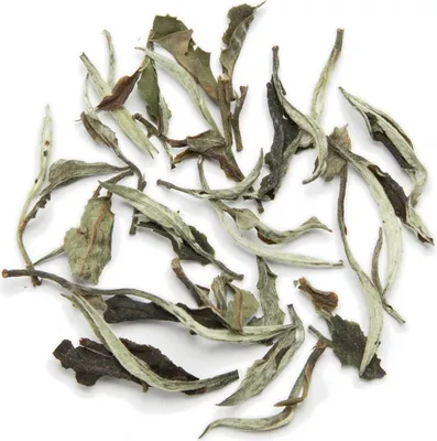 Produktbild von White Moonlight, Weißer Tee, BIO, China, 50g