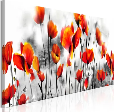 Image de Tableau moderne b-A-0820-b-a (150x50 cm) - 1 pièce Images Photographie sur toile Photo Image Décoration Tableaux muraux Impression artistique FLEURS COQUELICOTS