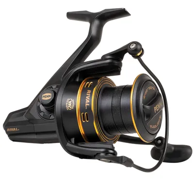 Produktbild von Penn Rival 6000LC Longcast Gold Rolle - Angelrolle