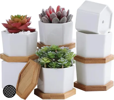 Produktbild von Keramik Pflanzenkübel weiß, 6 Stück, Mini, mit Untersetzer, für Sukkulenten