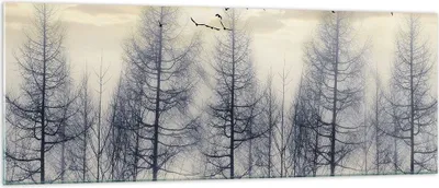 Produktbild von Bilder auf glas - Einteilig - Bäume Vögel Himmel - 140x50cm - Glasbilder - Wandbilder - Bilder - zum Aufhängen bereit - Wanddekoration aus Glas - Glas Bilder - Wandbild auf Glas - GAB140x50-4546