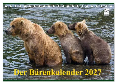 Produktbild von Der Bärenkalender 2027 (Tischkalender 2027 DIN A5 quer), CALVENDO Monatskalender