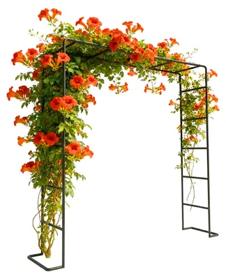 Immagine prodotto di Relaxdays Arco per rose, metallo, A x L x P: 220 x 200 x 38 cm, arco da giardino, robusto supporto per piante rampicanti, nero
