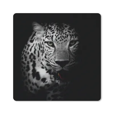 Produktbild von MuchoWow® Mauspad Mousepad Tiere - Schwarz - Weiß - Panther - Porträt 20x20 cm - Mousepads - Maus Mat - Pad - Mausunterlage - Desk Mat - Bureauartikeln
