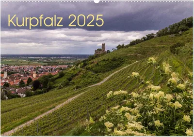 Produktbild von Kurpfalz 2025 (Wandkalender 2025 DIN A2 quer), CALVENDO Monatskalender