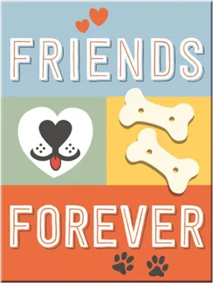 Produktbild von Nostalgic-Art - Magnet 6 x 8 cm - PfotenSchild - Friends Forever