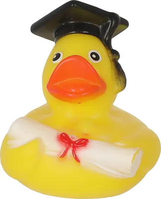 Produktbild von Badeente Absolvent H8cm PVC gelb schwarz Ente Schnabel Badespielzeug Quietscheente Doktor-Ente Badewanne