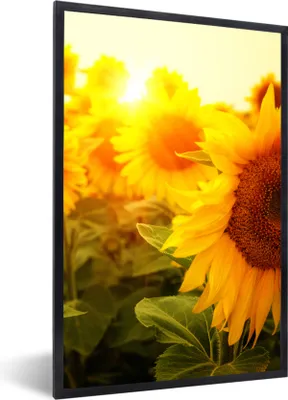 Produktbild von MuchoWow® Gerahmtes Poster Sonnenblume - Gelb - Blumen - Sonne 60x90 cm - Poster mit Schwarzem Bilderrahmen Wandposter Rahmen Foto Bilder - Kunst
