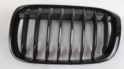 Produktbild von Original BMW X1 F48 F49 M Frontziergitter schwarz hochglänzend links 51712407733
