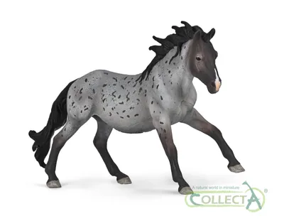 Produktbild von Collecta 80060 Nokota Stallion Blue Roan 16 cm Pferdewelt