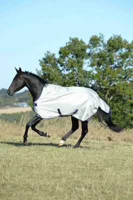 Produktbild von Bucas Power Turnout  Light Regendecke -  High Neck 140 cm