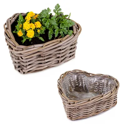 Image de Cœurs de plantes en rotin comme jardinières Pots de plantes en 37, 45 cm