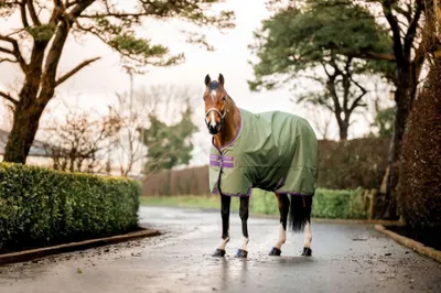 Produktbild von Horseware Amigo Hero 600D Ripstop 50g Turnout Decke wasserdicht bramble/winterberry, Größe:5'9/125