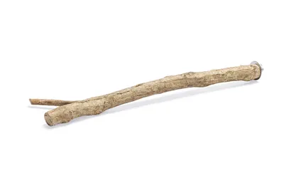 Produktbild von Karlie Vogel Y-Sitzstange Naturholz, Größe:30 cm