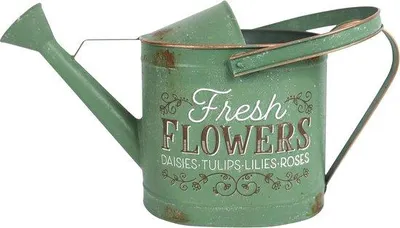 Imagen del producto de Regadera vintage Famanu: pequeña regadera de metal con asa y boquilla