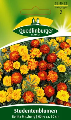 Produktbild von Studentenblume 'Bonita Mischung' Quedlinburger Blumensamen