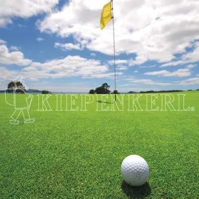 Produktbild von Kiepenkerl RSM 4.1.1 Golfrasen Grün 10kg