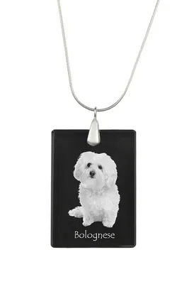Produktbild von Bologneser, Bichon Bolognese - Kristallanhänger mit Hund, Silberhalskette mit Foto, personalisierter Anhänger der Marke Art-Dog