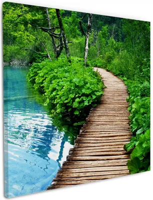 Produktbild von Wallario Premium Leinwandbild Holzweg im Wald in Größe 50 x 50 cm