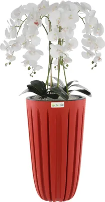 Produktbild von Künstliche Orchidee Weiß Kaskaden Blumenstrauß im Topf mit Rillen Rot, H 100 cm, gummierte Blumen, 5 Triebe Dekoration Schön Stilvoll Für Zuhause, Büro, perfektes Geschenk