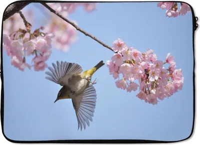 Produktbild von MuchoWow® Laptop Hülle 14 ZollKirschblüte und Vogel Laptoptasche - Laptoptasche - Stoßsicher - Schutzhaube