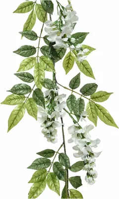 Produktbild von Decoris Wisteria - weis - Kunstpflanze - Girlande - 150 cm