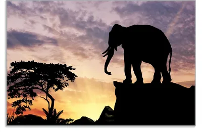 Produktbild von Wallario Frühstücksbrettchen aus Glas 20 x 30 cm mit rutschfesten Füßen, Motiv Elefant vor Abendhimmel
