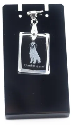 Produktbild von Clumber Spaniel - Kristallanhänger für Hunde, Foto-Halskette, einzigartiger Schmuck von Art-Dog