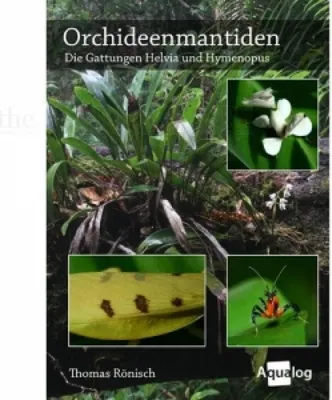 Obrázok produktu pre Orchideové mantidy - rody Helvia a Hymenopus