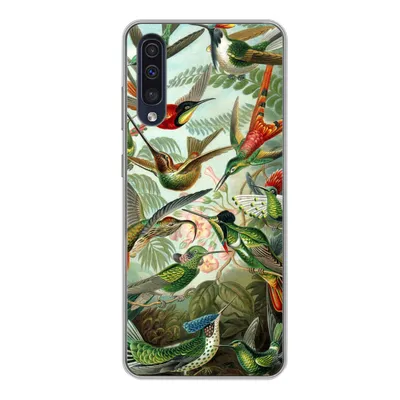 Produktbild von MuchoWow® Handyhülle Schutzhülle Hülle für Samsung Galaxy A50 Trochilidae - Alte Meister - Kunst Silikon Softcase Handy Hülle - Mobiltelefonhülle