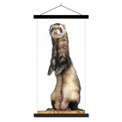Produktbild von MuchoWow® Textilposter Frettchen - Tiere - Fell 90x180 cm mit schwarzem Rahmen - Dekoration Wohnzimmer