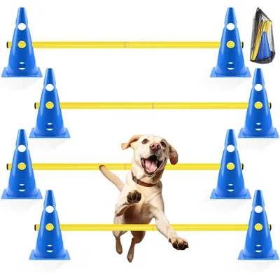 Hunde-Agility-Set: 8 Kegel + 4 Slalomstangen, 80 cm, verstellbar