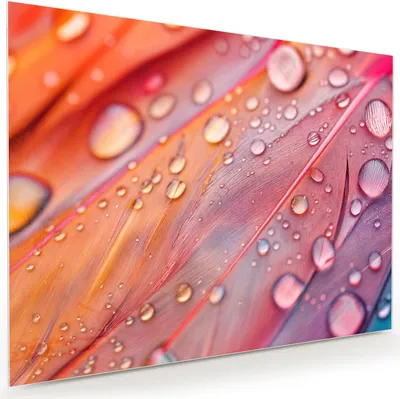 Produktbild von Glasbild 120x90cm in XXL für Wohnzimmer, Schlafzimmer Motiv Wassertropfen auf Federn