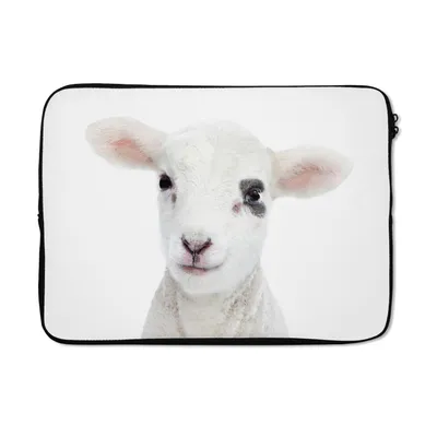 Produktbild von MuchoWow® Laptop Hülle 14 ZollLamm - Weiß - Tiere - Natur Laptoptasche - Laptoptasche - Stoßsicher - Schutzhaube