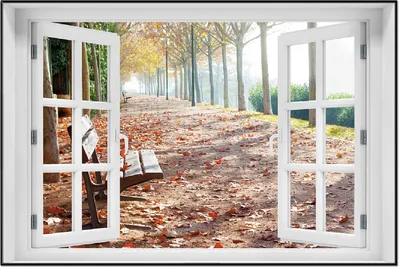 Produktbild von Wallario Wandbild mit Fenster-Illusion: Einsame Parkbank an einer Allee - Herbststimmung, Größe: 61 x 91,5 cm, Poster mit schwarzem Aluminiumrahmen