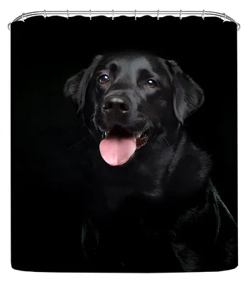 Immagine prodotto di Tenda multifunzione di design 180x200 cm - Black Labrador