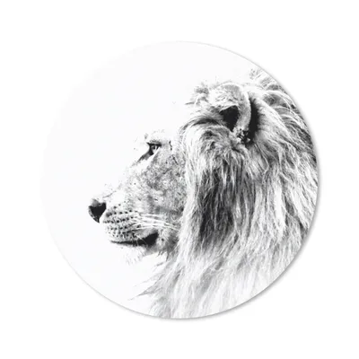 Produktbild von MuchoWow® Mauspad Mousepad Löwe - Schwarz - Weiß - Tiere 20x20 cm - Mousepads - Maus Mat - Pad - Mausunterlage - Schreibtischmatte