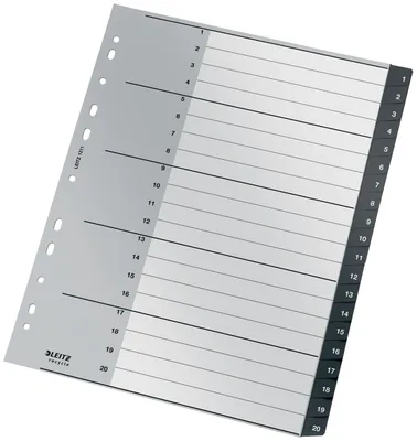 Obrázok produktu pre Esselte Leitz 12110000 - Leerer Registerindex - Polypropylen (PP) - Schwarz - Weiß - A4 - 160 g/m² - 238 mm