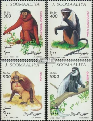 Produktbild von Briefmarken Somalia 1994 Mi 520-523 (kompl.Ausg.) postfrisch Affen