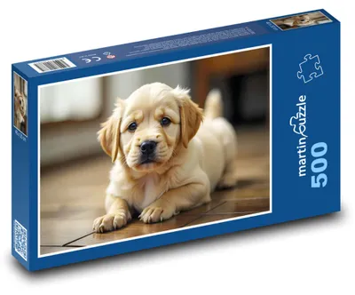 Obrázek produktu pro martinpuzzle - Puzzle 500 - Roztomilé štěně