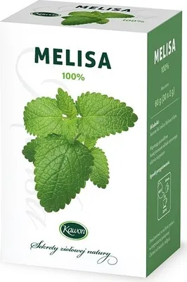 Produktbild von Wassermelone Zitrone 60 g (30 x 2 g)