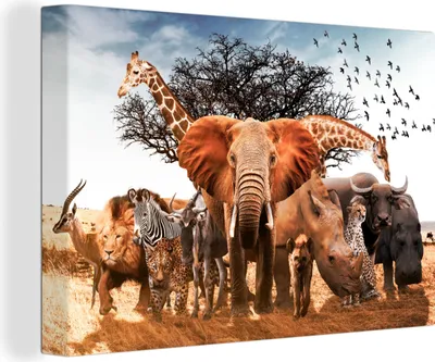 Produktbild von MuchoWow® - Leinwandbilder - Tiere - Giraffe - Elefant, Wandbild, Wanddeko Bilder Wohnzimmer, 30x20cm
