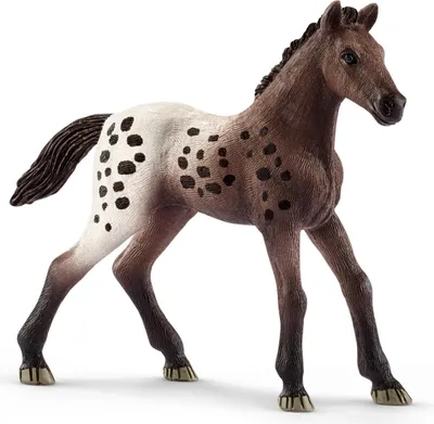 Produktbild von schleich HORSE CLUB Appaloosa, 5 Jahr(e), Braun, Weiß, 1 Stück(e)