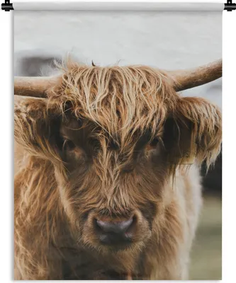 Produktbild von MuchoWow® Wandteppich Wandbehang Schottischer Highlander - Kuh - Gras - Tiere - Natur 60x80 cm Tapisserie Dekoration Wandtuch - Decke - Wandtücher - Wohne