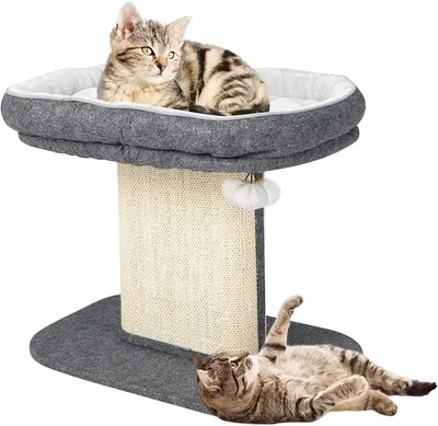 Produktbild von GOPLUS 50cm Kratzbaum für Hauskatzen, Katzenbaum mit Sitzplattform, Sisal-Kratzplatte und klimperndem Fellknäuel, Moderne Katzenmöbel, lustiges Aktivitätszentrum für Kätzchen (Grau)