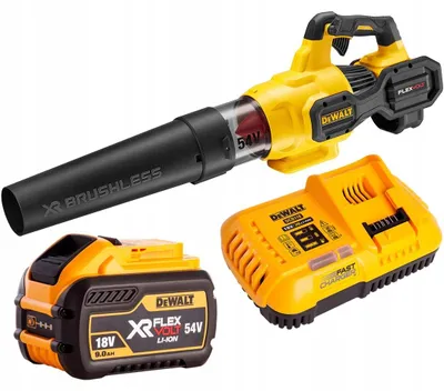 Zdjęcie produktu dla DeWALT DCMBA572X1-QW, 3,8 kg, 1 szt.